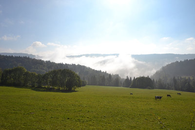 2016-10-12_11-21-40_ok.jpg