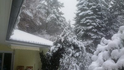 20161108_125247-800x450.jpg