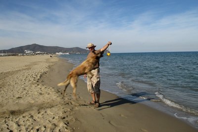 Drago versucht zum 3ten Male sein Seepferdchen zun machen ...... durch gefallen wergen Wasserrute .