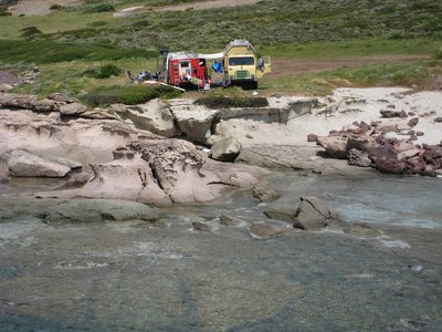 2011_PearlofBosa_Cars.jpg