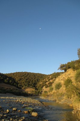 IMG_1134 [1600x1200].jpg