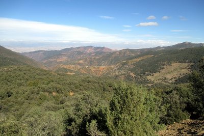 IMG_1226 [1600x1200].jpg