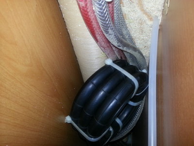 Wohnt bei mir 3x8 Zoll
