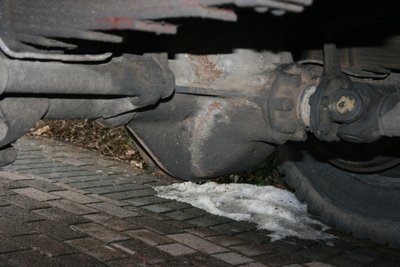 IMG_7831.JPG