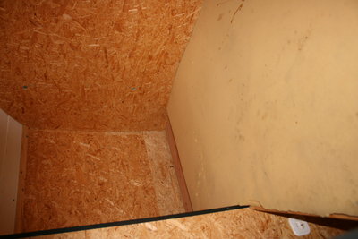 IMG_7825.JPG