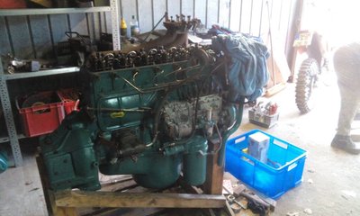 IMG_20170219_152148.jpg