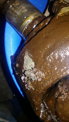IMG-20161105-WA0005.jpg