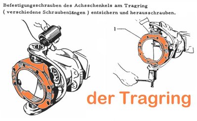 der Tragring.JPG