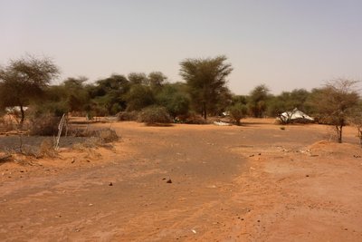 Infos über ein zweites Guelta einholen .