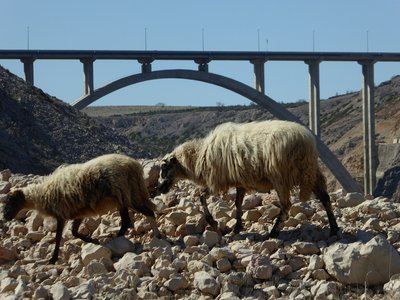 P1010892.25%.jpg