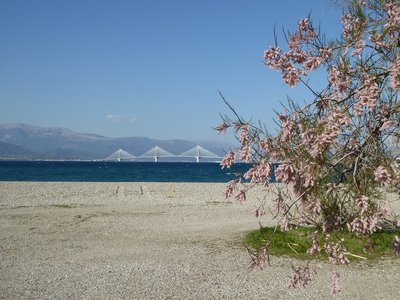 P1010654.25%.jpg