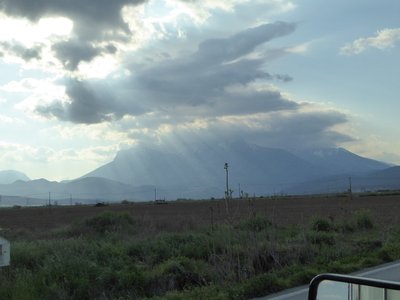 P1010628.25%.jpg