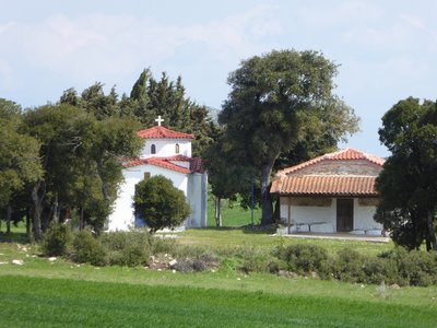 P1010556.25%.jpg