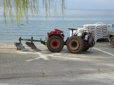 P1010403.25%.jpg