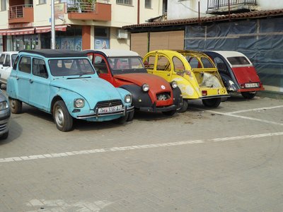 P1010402.25%.jpg