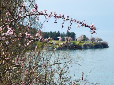 P1010357.25%.jpg