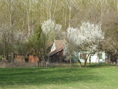 P1010321.25%.jpg