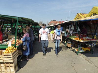 P1010317.25%.jpg