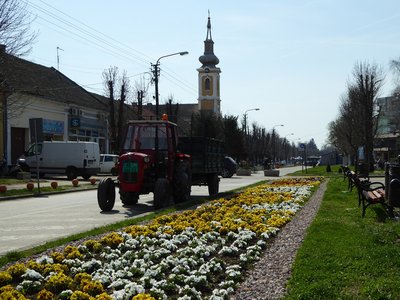P1010310.25%.jpg