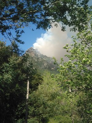 Cap Corse.jpg