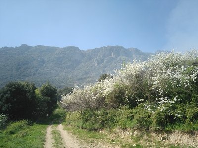 Nette Wege.jpg