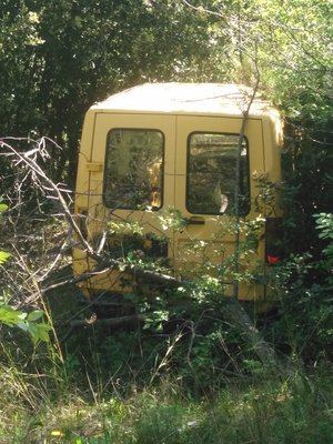 Rapid.jpg