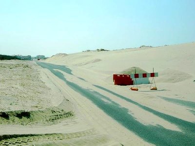 2010-03_36_di100166.jpg