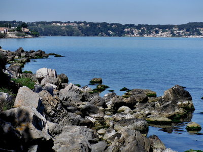 DSCF2480.JPG