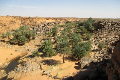 Schlafplatz am Oued .