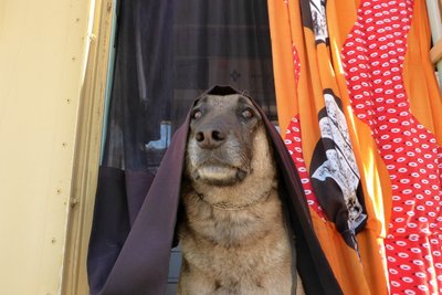 äähhhhh ?!?!
