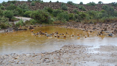 Rio Piscinas bei Regen