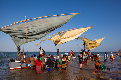2017 mantoco Weltreise Mozambique Maxixe Dhau Fischer Fischerboote.jpg
