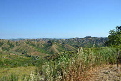 2017-07-06_08-52-29_ok.jpg