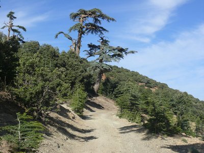 Piste von Jaffar Richtung Strasse nach Tounfite.