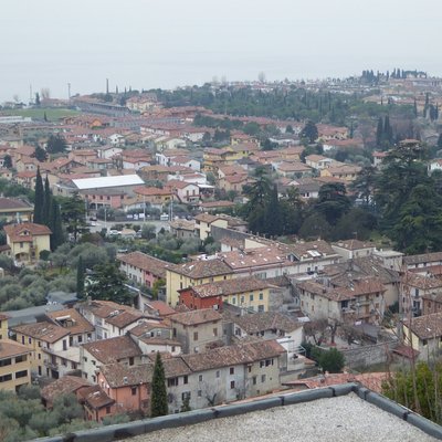 P1040283.jpg
