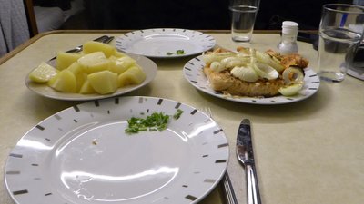 P1040300.jpg