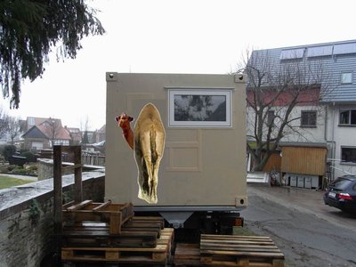 Copy of Rückseite mit Kamel.jpg