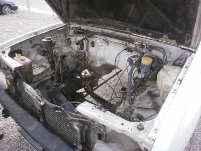 terrano 3.JPG