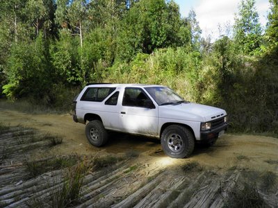 terrano 1.JPG