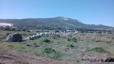 IMG_20180221_153131.jpg