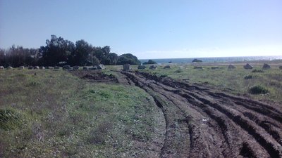 IMG_20180221_153124.jpg