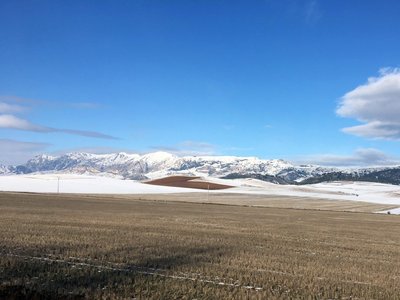 IMG_3975 (Andere).JPG