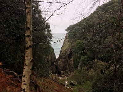 IMG_4015 (Andere).JPG