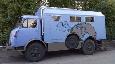 Blue Turtle 3 (Andere).jpg