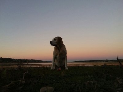 11_PT Alentejo Stausee.jpg