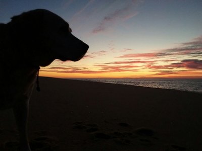 12_PT Atlantikküste ANI Sonnenuntergang.jpg