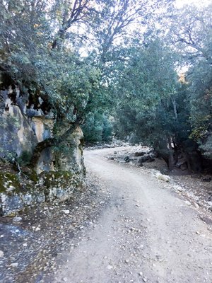 IMG_5335.jpg