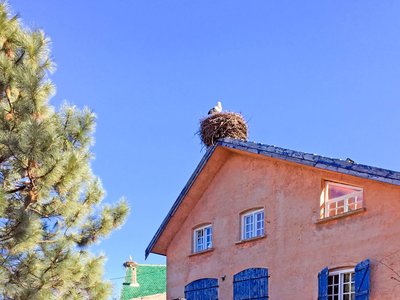 IMG_5472.jpg