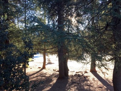 IMG_5617.jpg
