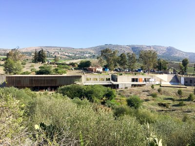IMG_5675.jpg